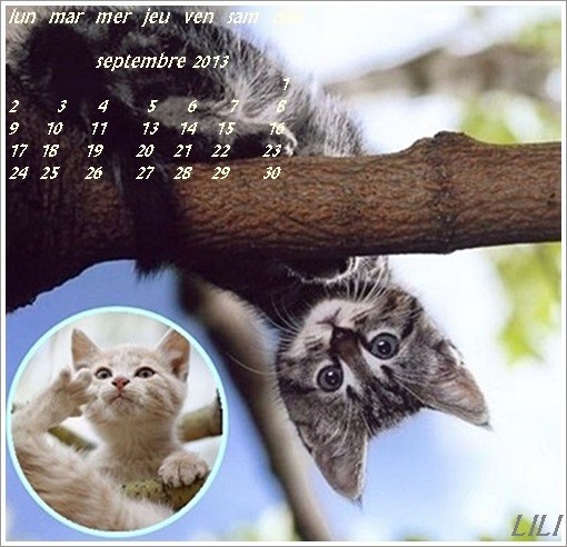 CALENDRIER  2013 