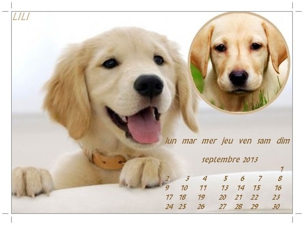 calendrier 2013 