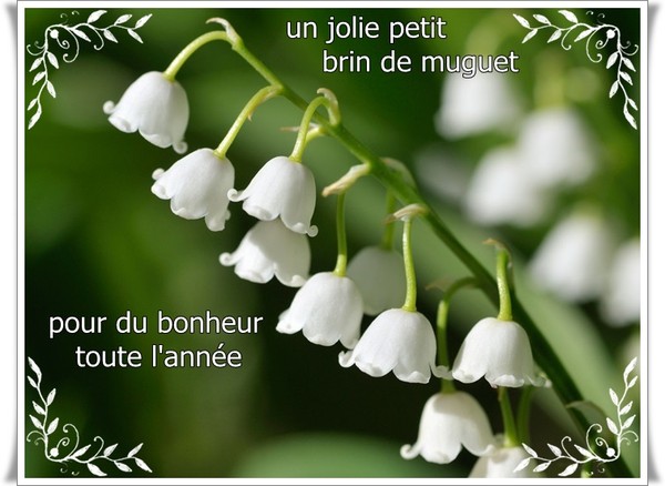 un brin de brindille pour vous 