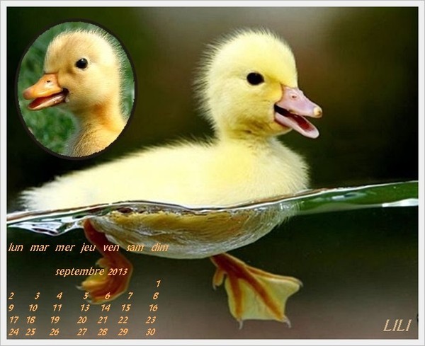 calendrier 2013