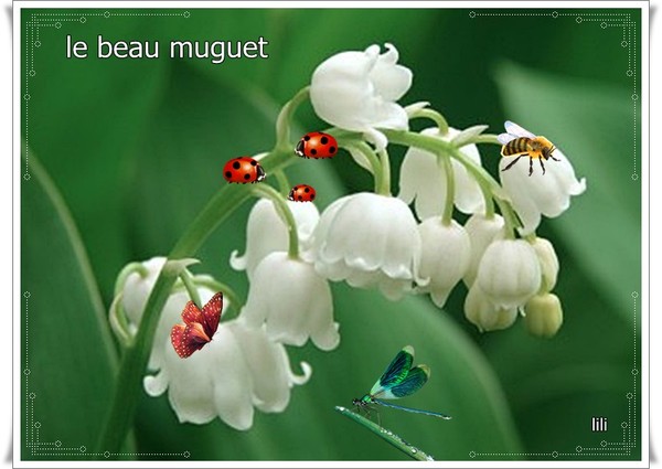 un brin de muguet